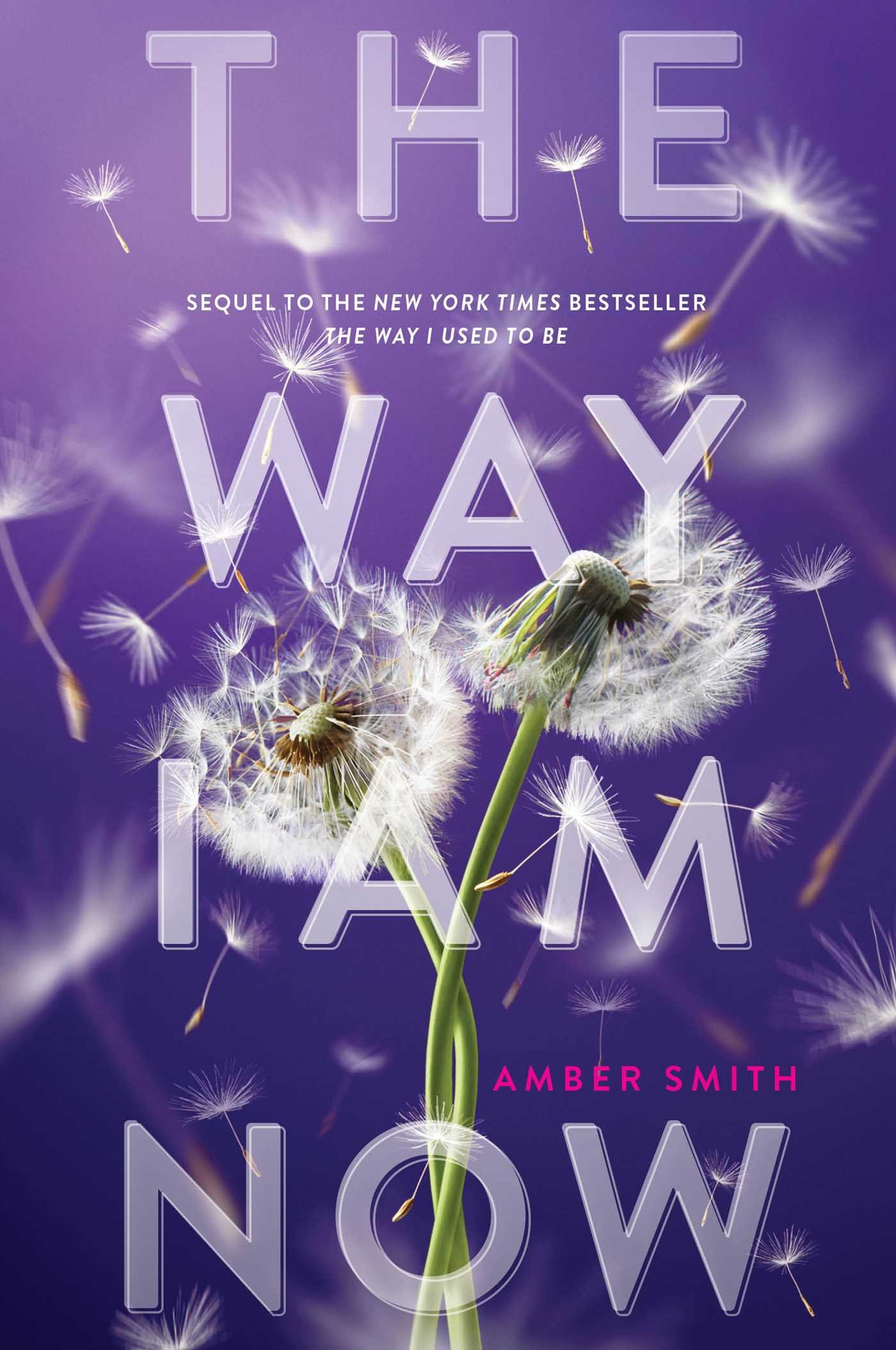 101143330 The Way I Am Now By Amber Smith - Image 1
