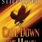 Call Down the Hawk By Maggie Stiefvater
