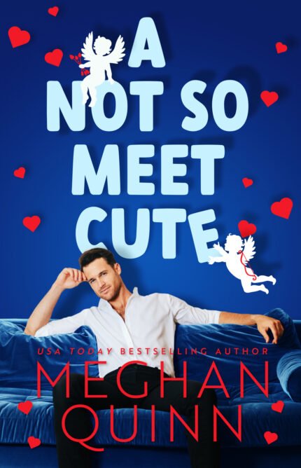 A Not So Meet Cute By Meghan Quinn