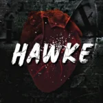 Hawke: Edizione Italiana By Jescie Hall
