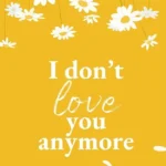 I Don't Love You Anymore By  Rithvik Singh