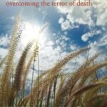 Staring At The Sun By Irvin D. Yalom