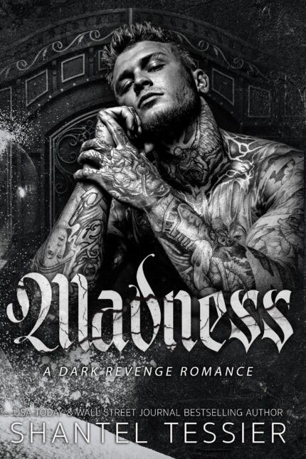 Madness By Shantel Tessier