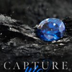 Capture Me By Anna Zaires