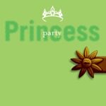 Party Princess By Meg Cabot