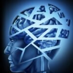 Brain Damage By Freida McFadden