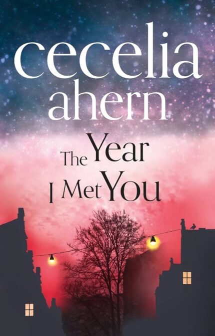The Year I Met You By Cecelia Ahern