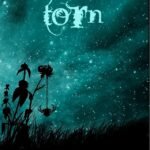 Torn By Amanda Hocking