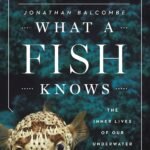 What a Fish Knows By Jonathan Balcombe