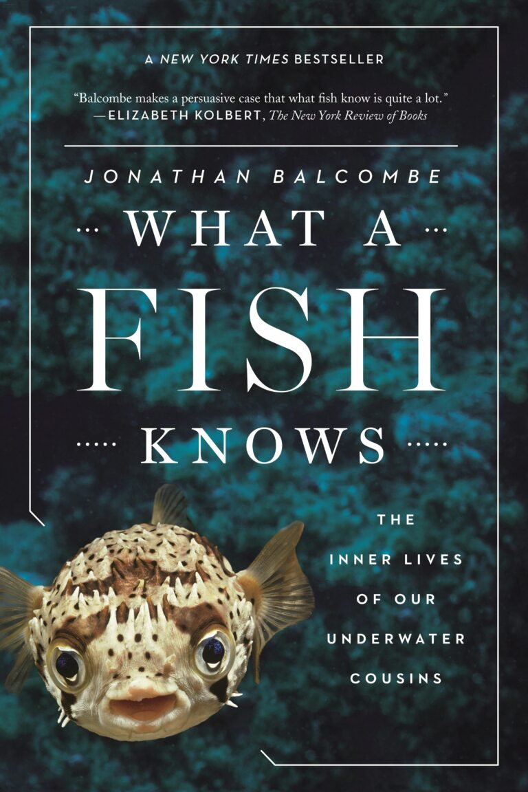 What a Fish Knows By Jonathan Book Eve