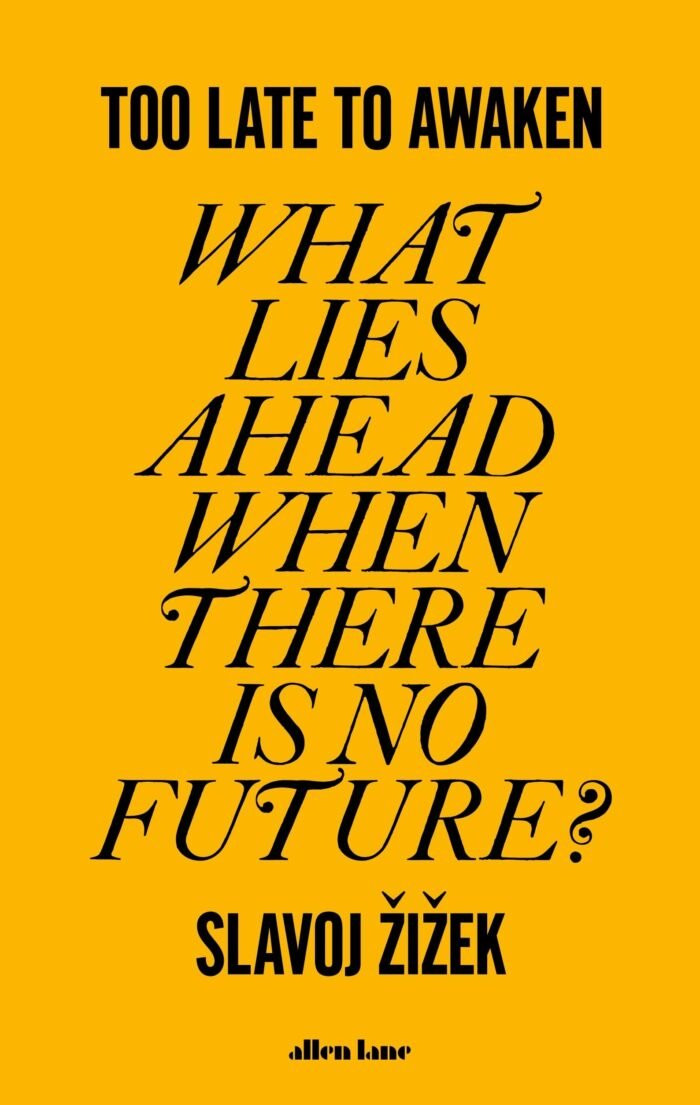 Too Late to Awaken By Slavoj Zizek - Image 1