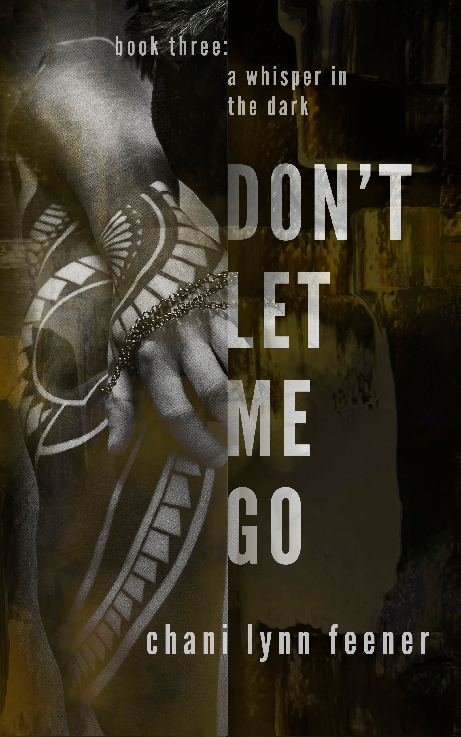 123166556 Don't Let Me Go Chani Lynn Feener - Image 1