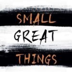 Small Great Things By Jodi Picoult