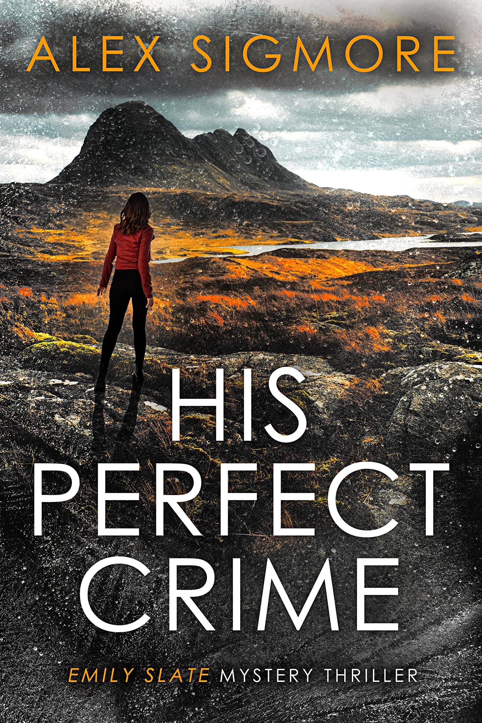 61313991 His Perfect Crime By Alex Sigmore - Image 1