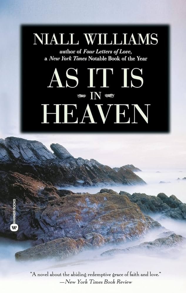 61pIdVTDd-L._AC_UF1000,1000_QL80_ As It Is in Heaven By Niall Williams - Image 1