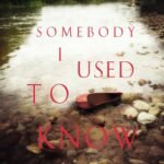 Somebody I Used to Know  By David Bell