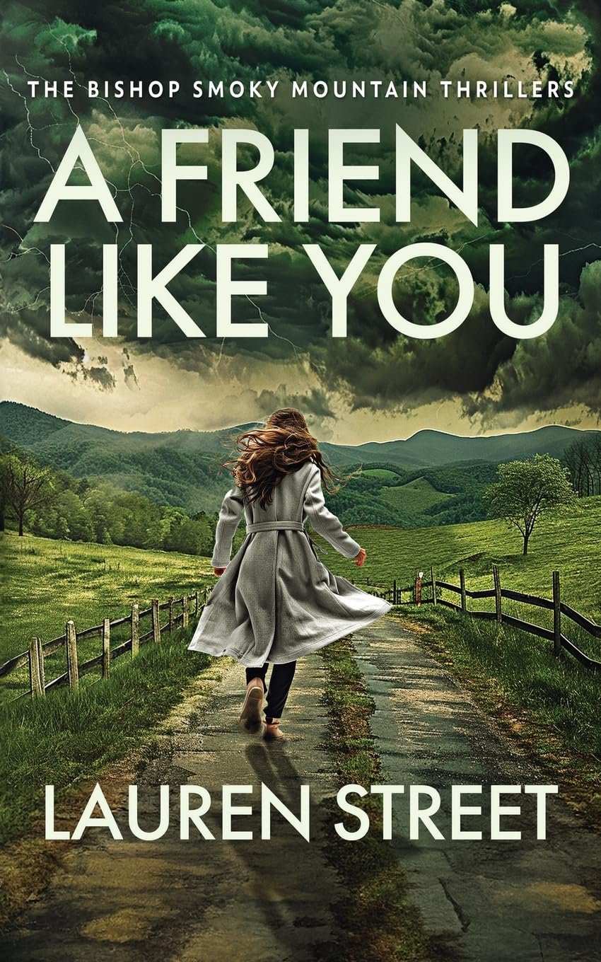 Version 1.0.0 A Friend Like You By Lauren Street - Image 1