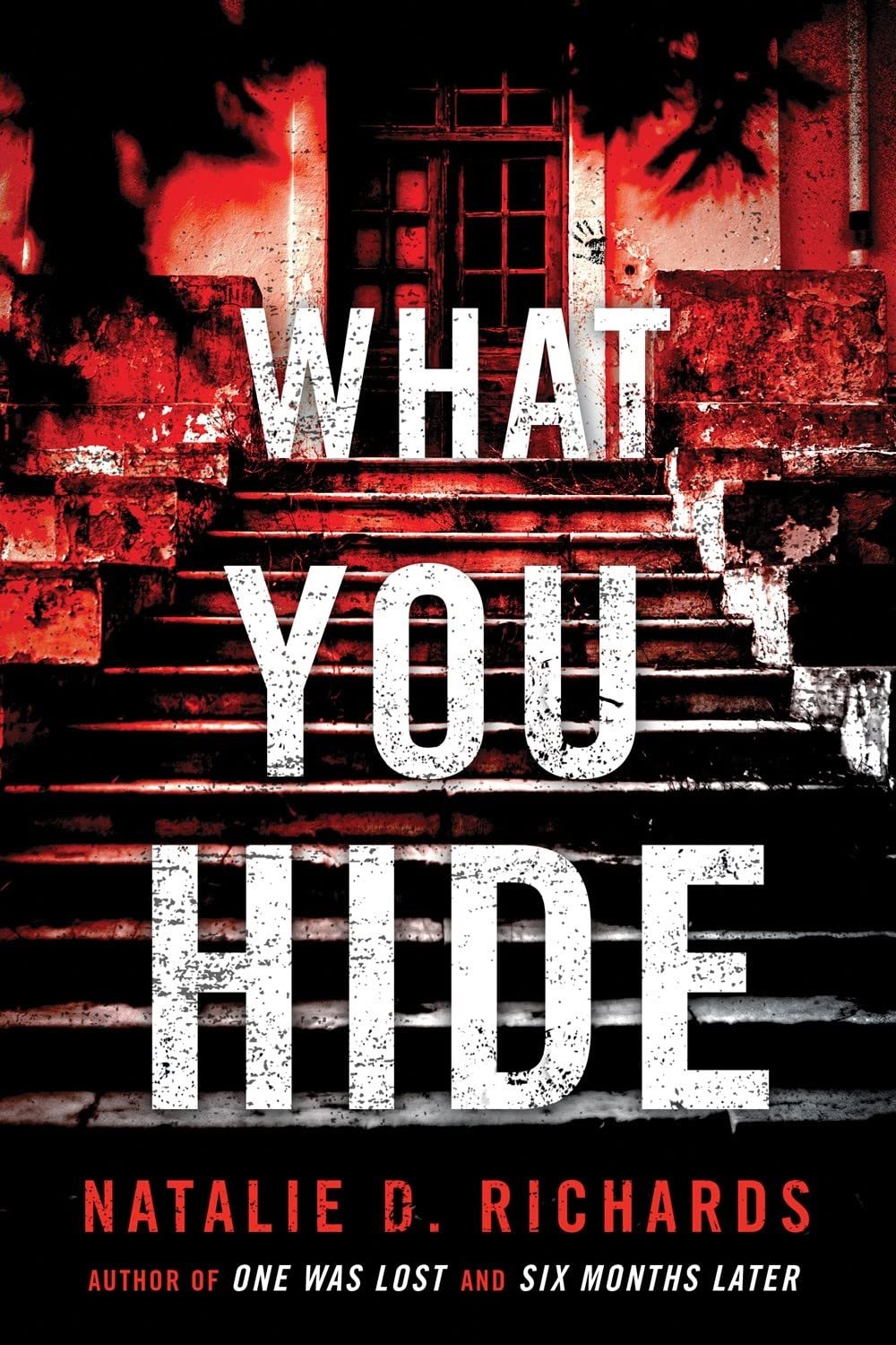 Version 1.0.0 What You Hide By Natalie D. Richards - Image 1