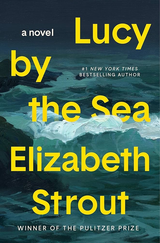 91R3jK1yw0L._AC_UF1000,1000_QL80_ Lucy by the Sea By Elizabeth Strout - Image 1