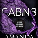 Cabin 3 By Amanda McKinney