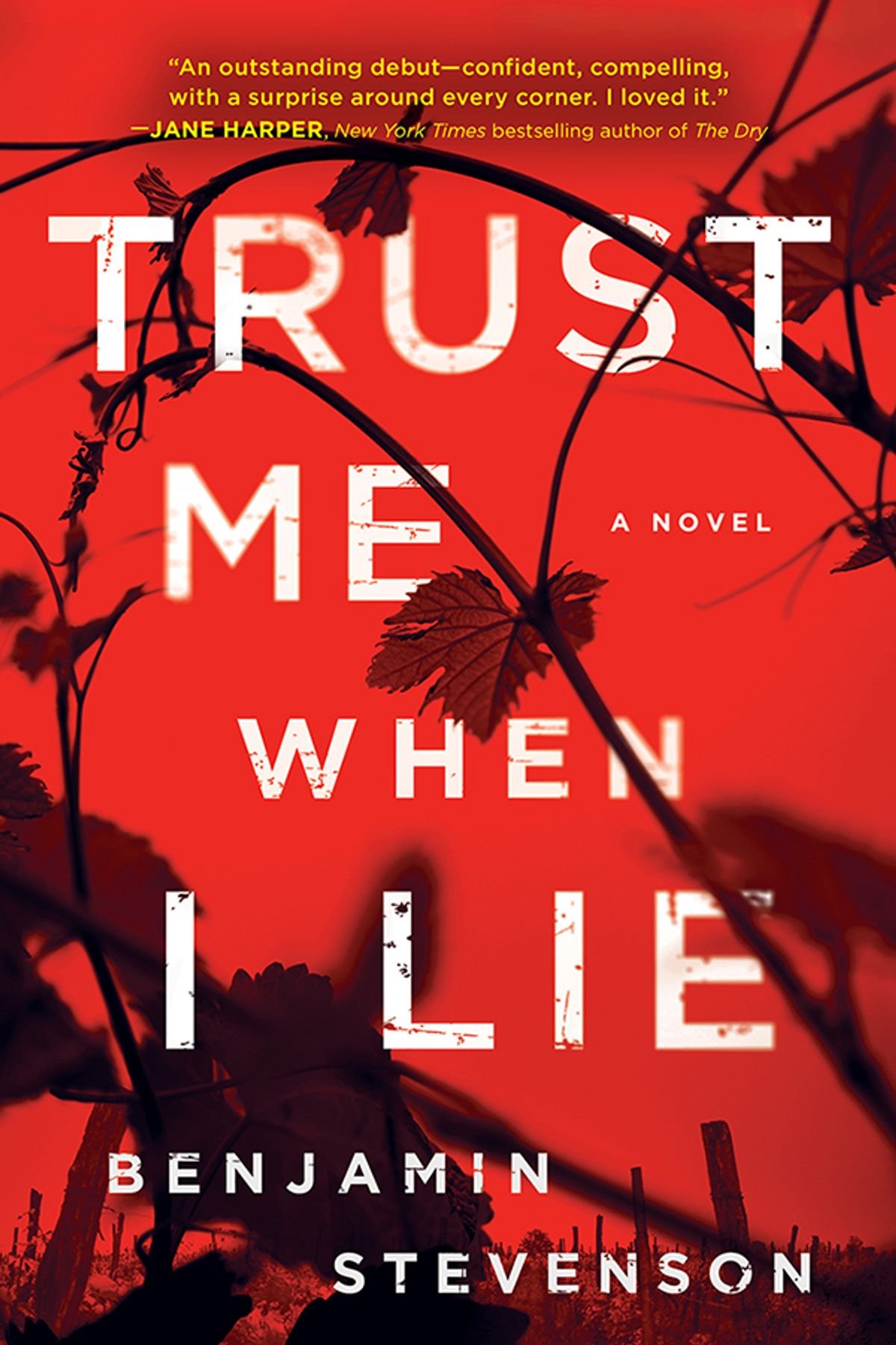 trust-me-when-i-lie Trust Me When I Lie By Benjamin Stevenson - Image 1
