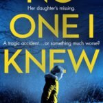 No One I Knew By  A.J. McDine