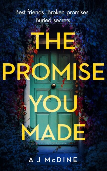 The Promise You Made By A.J. McDine