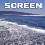 Bubble Screen By David Chill
