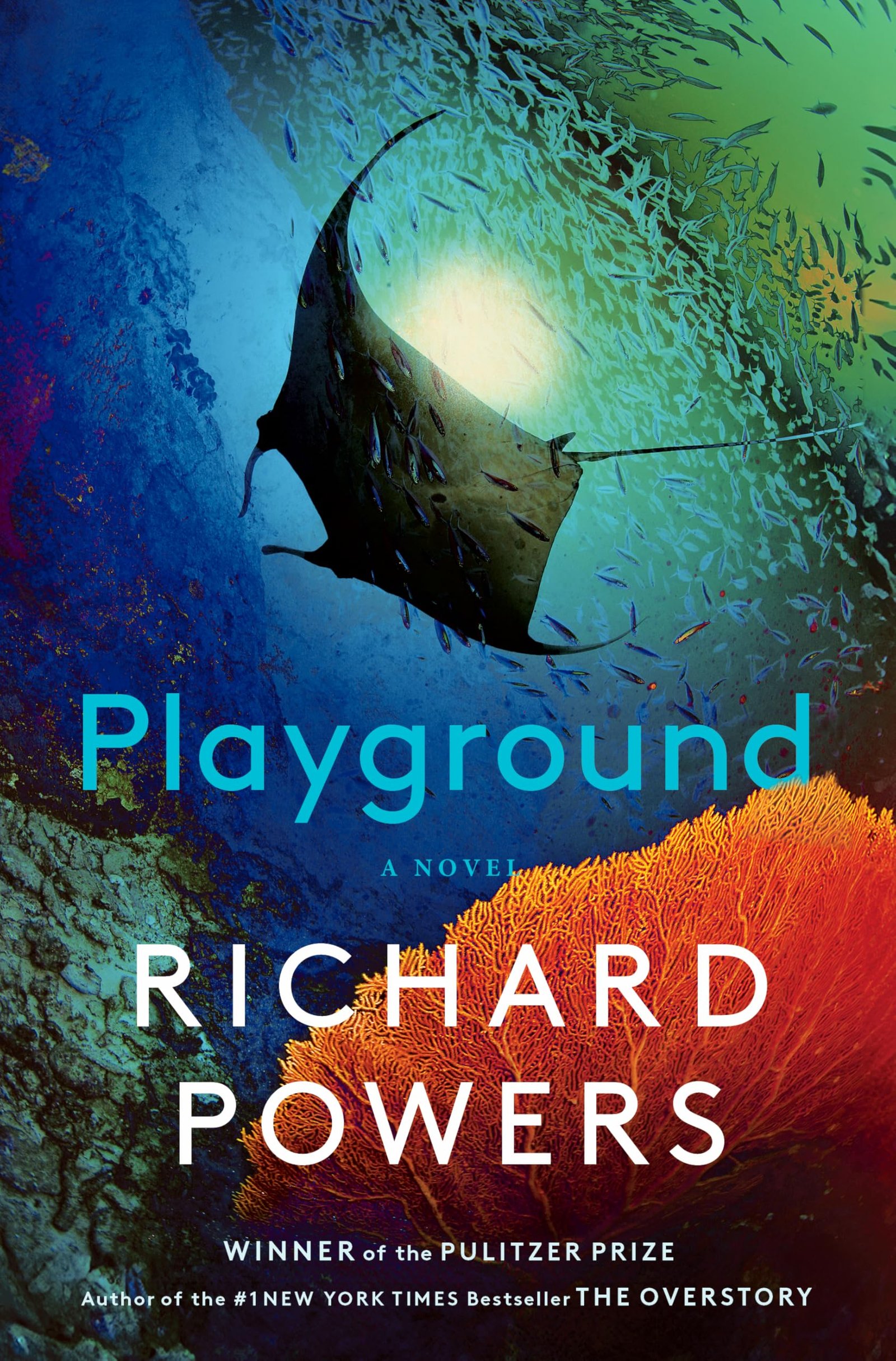 Version 1.0.0 Playground By Richard Powers - Image 1