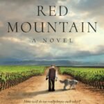 Red Mountain  By Boo Walker