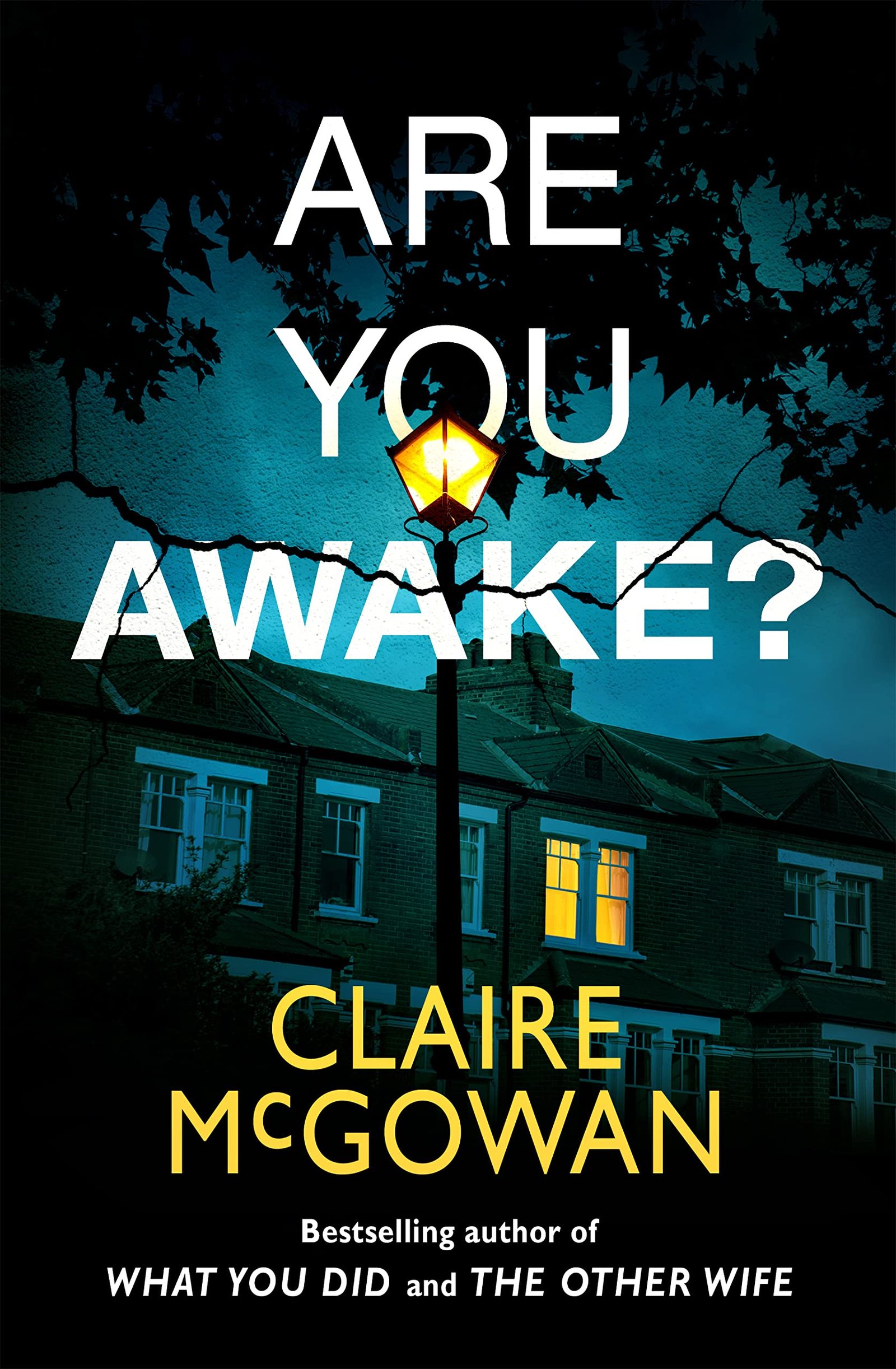 Version 1.0.0 Are You Awake? By Claire McGowan - Image 1