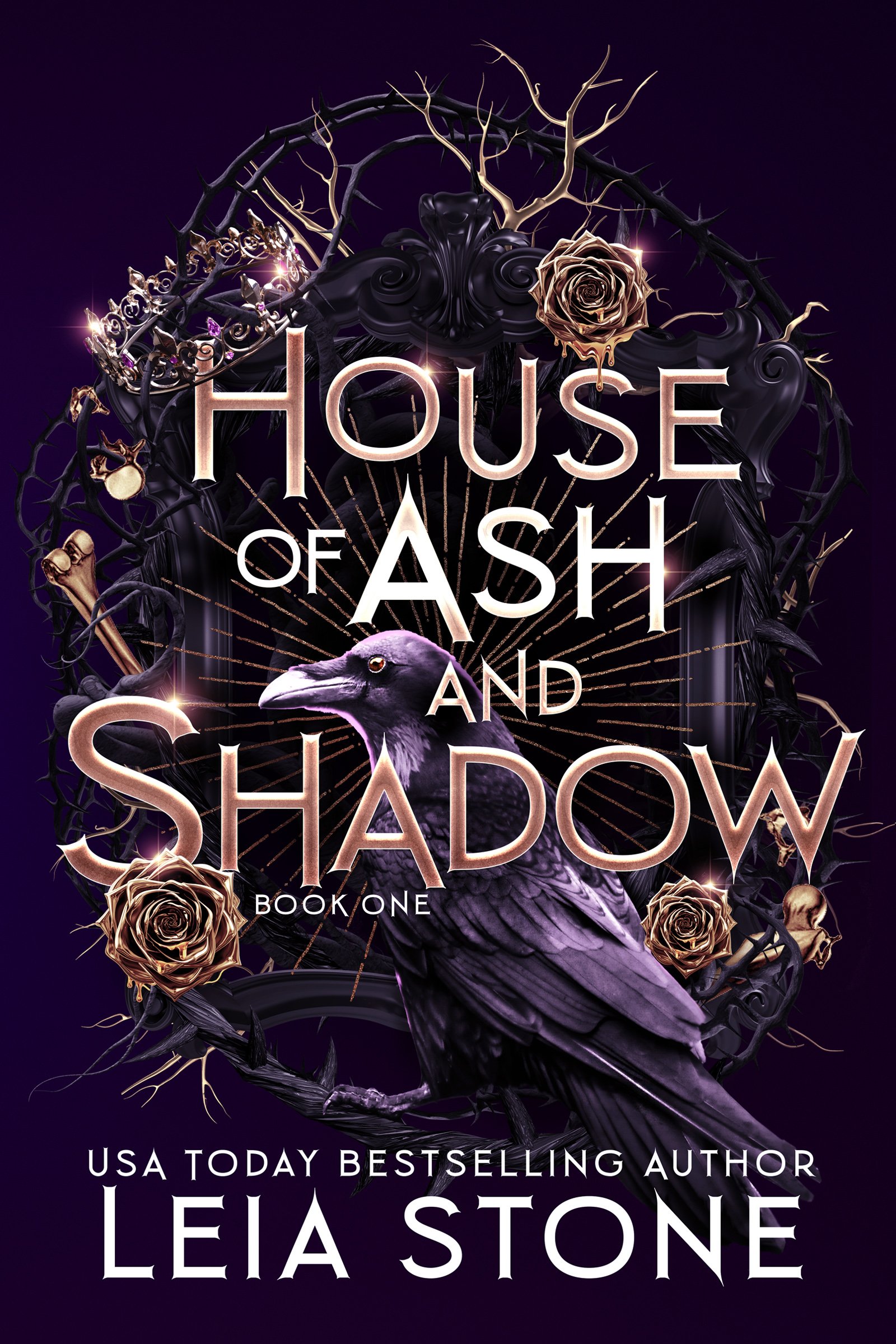193374407 House of Ash and Shadow By Leia Stone - Image 1