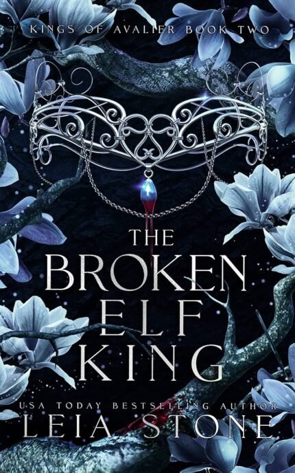 The Broken Elf King  By Leia Stone