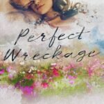 Perfect Wreckage  By Catherine Cowles