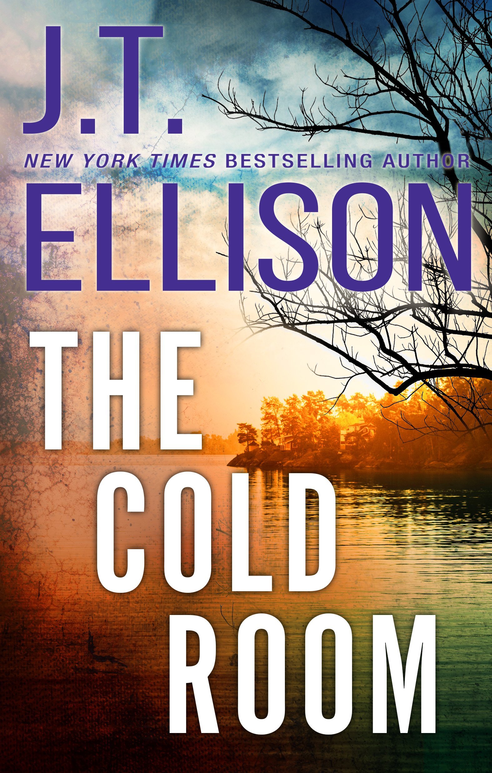 2021+Reissue (1) The Cold Room By J.T. Ellison - Image 1