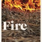 Fire By John Boyne