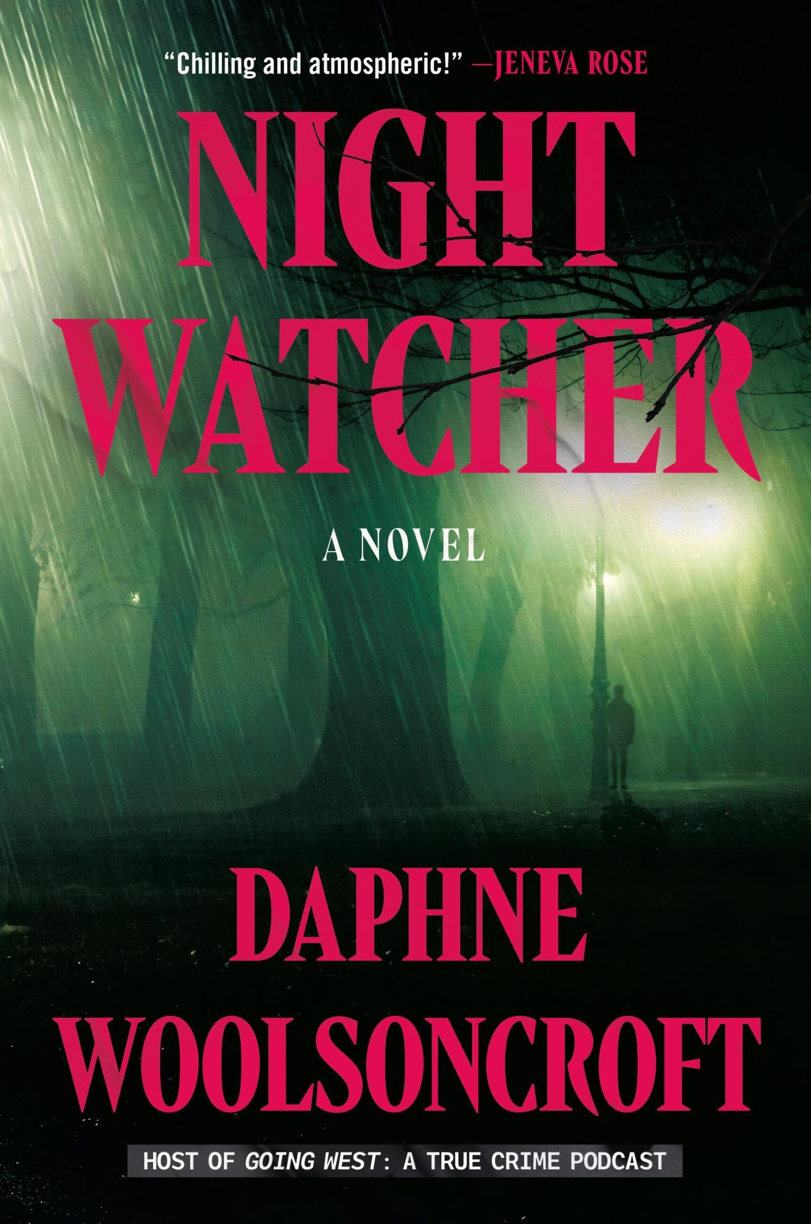 221179063 Night Watcher By Daphne Woolsoncroft - Image 1