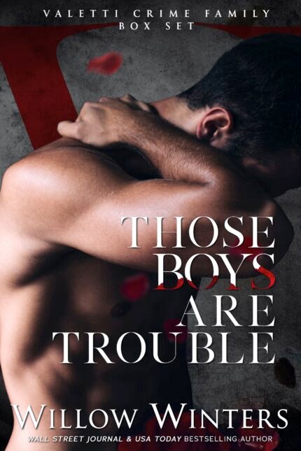 Those Boys Are Trouble  By Willow Winters