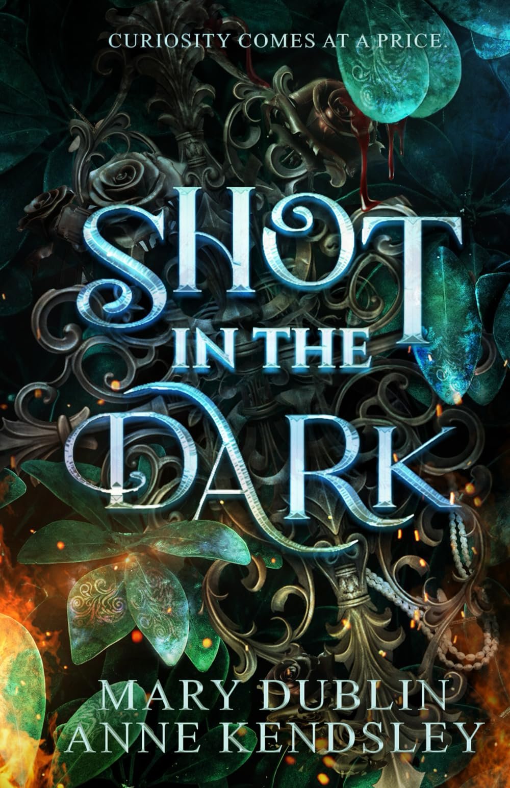 71tyzBm3pNL Shot in the Dark By Mary Dublin - Image 1