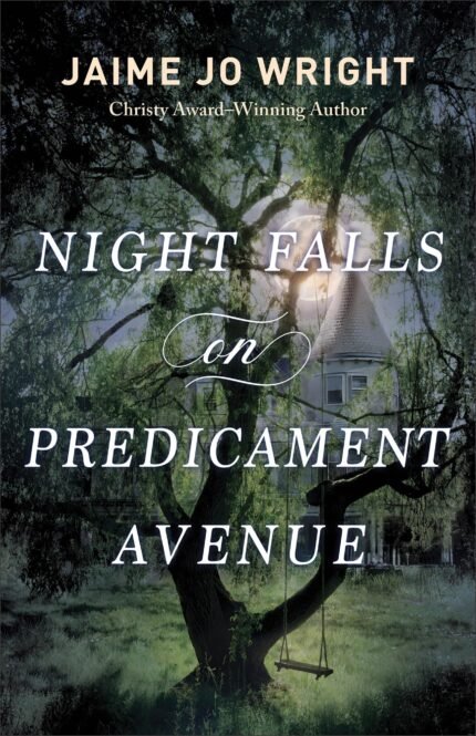 Night Falls on Predicament Avenue  By Jaime Jo Wright