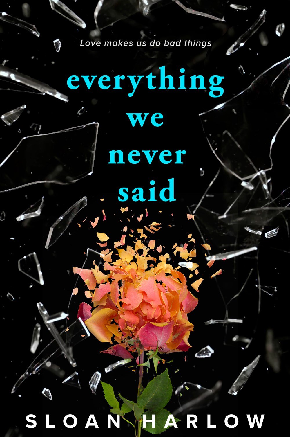 198563757 (1) Everything We Never Said By Sloan Harlow - Image 1