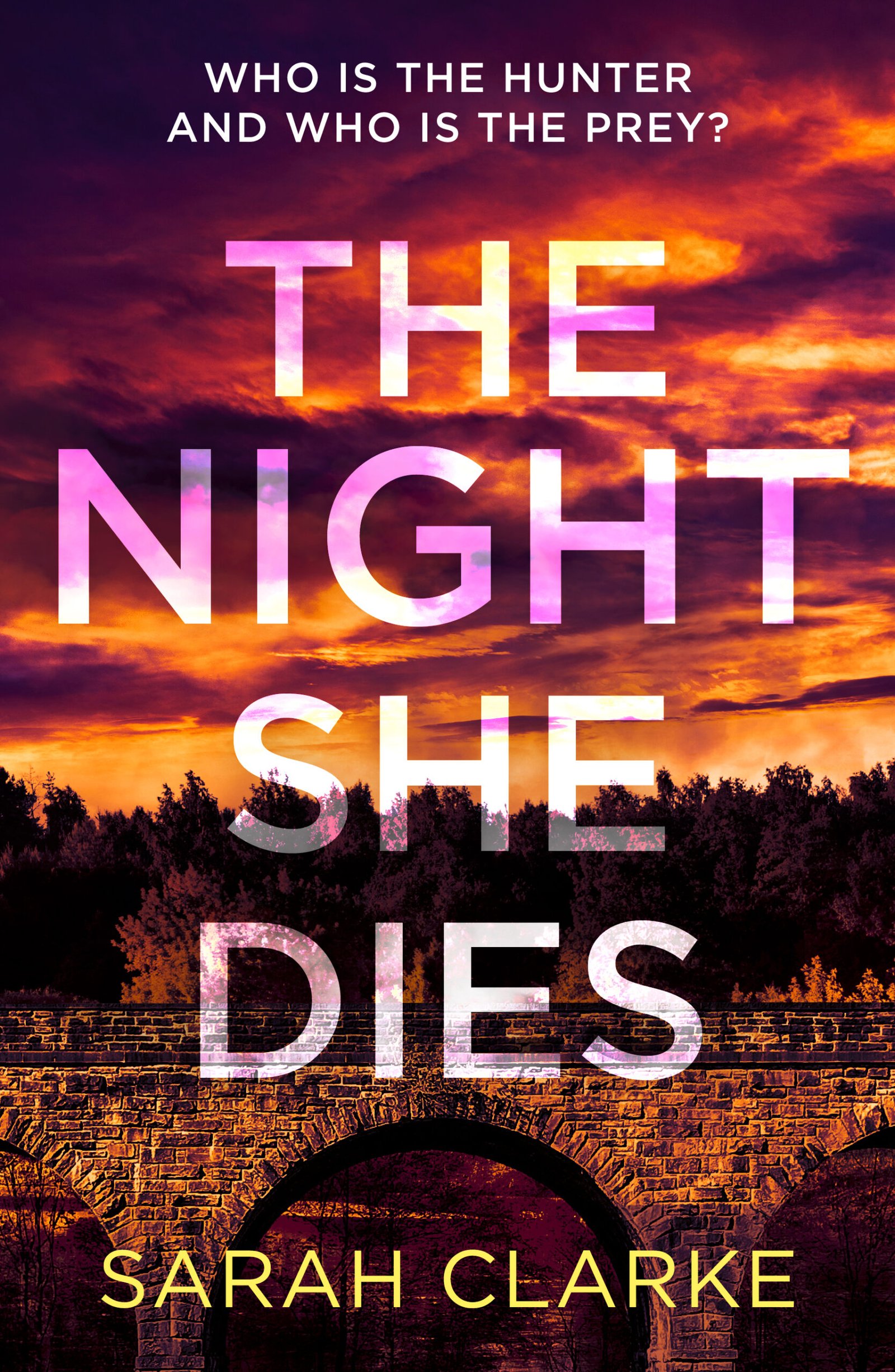 207546339 The Night She Dies By Sarah Clarke - Image 1