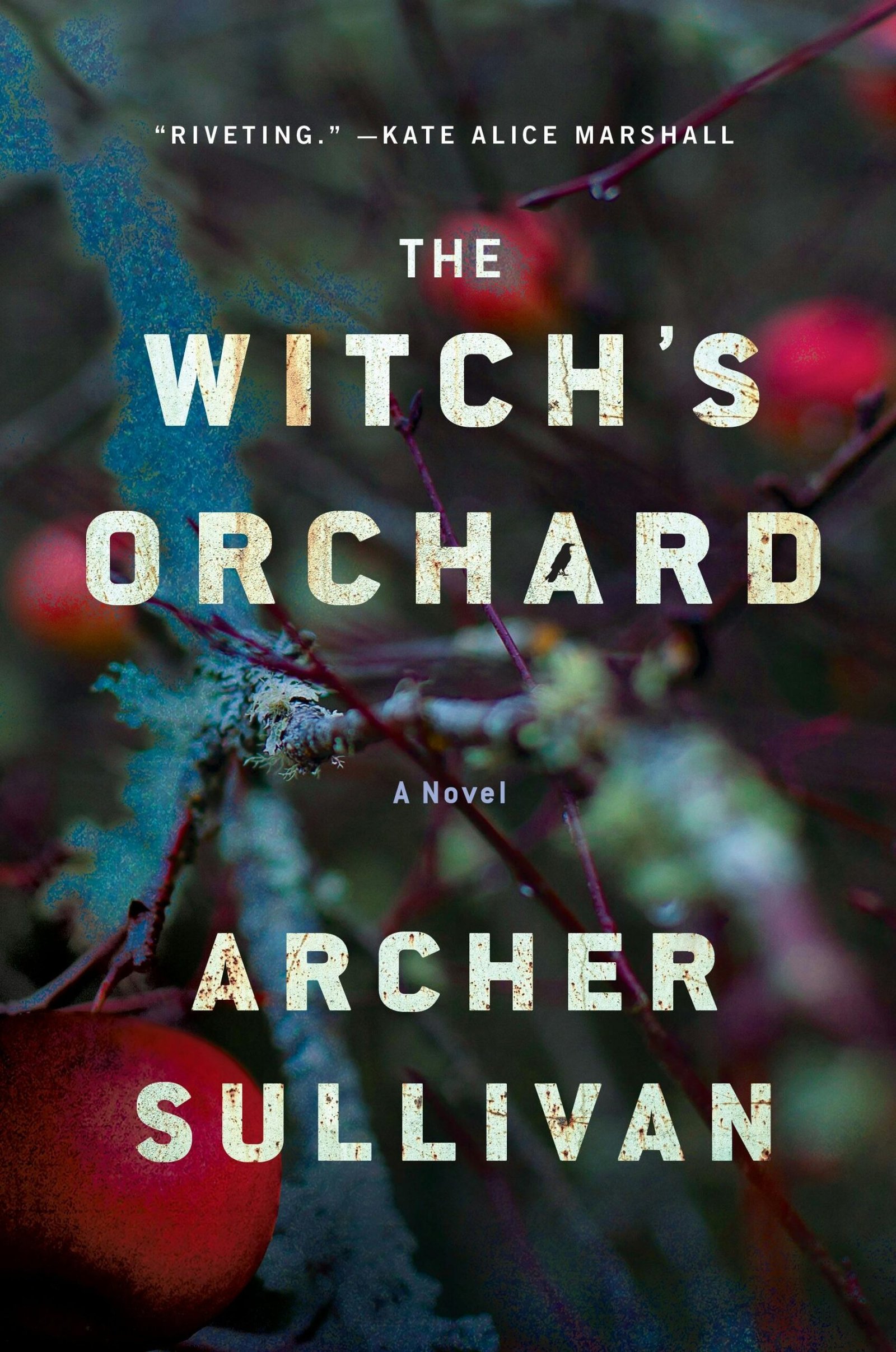 217387630 The Witch's Orchard By Archer Sullivan - Image 1
