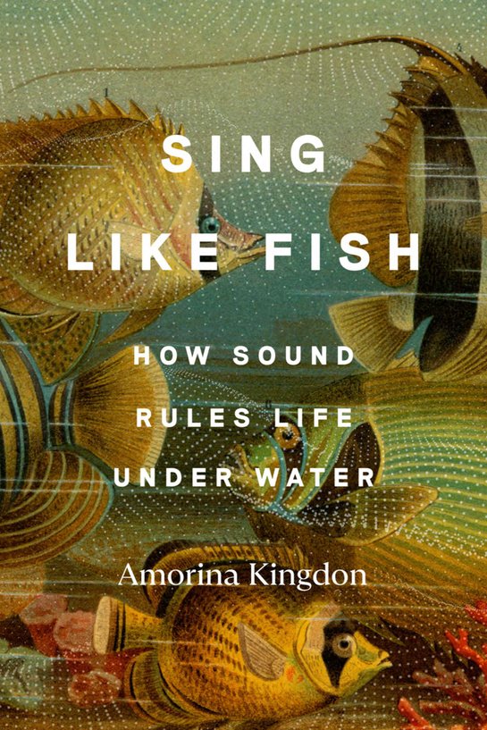 198563669 Sing Like Fish By Amorina Kingdon - Image 1