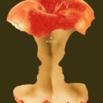 Flesh By  David Szalay