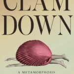 Clam Down By Anelise Chen