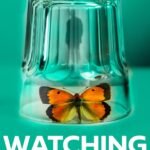 Watching You By Helen Sarah Fields