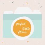 Perfect Little Flaws  By Jennifer Ann Shore