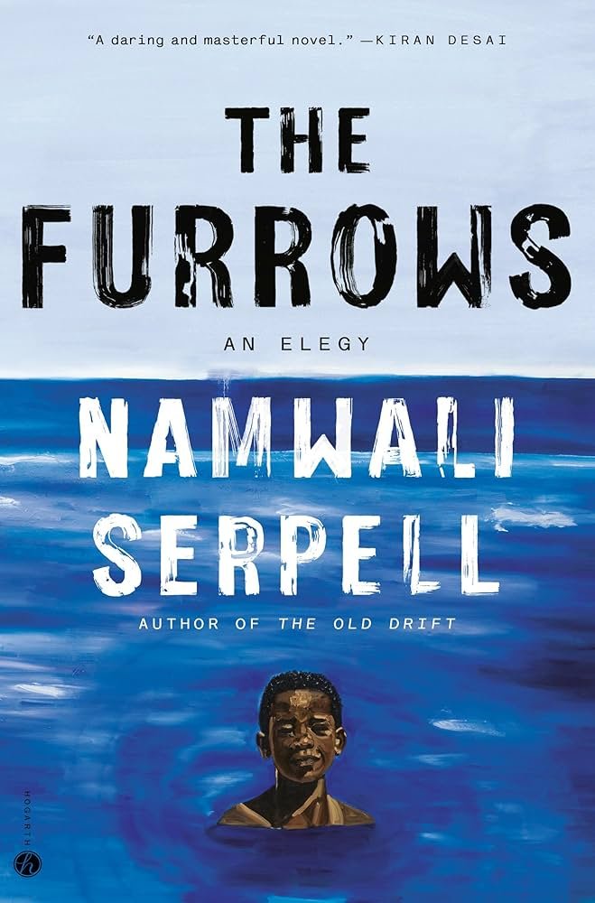 81ipja+sT5L._UF894,1000_QL80_ The Furrows By Namwali Serpell - Image 1