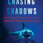 Chasing Shadows By Gregory Skomal